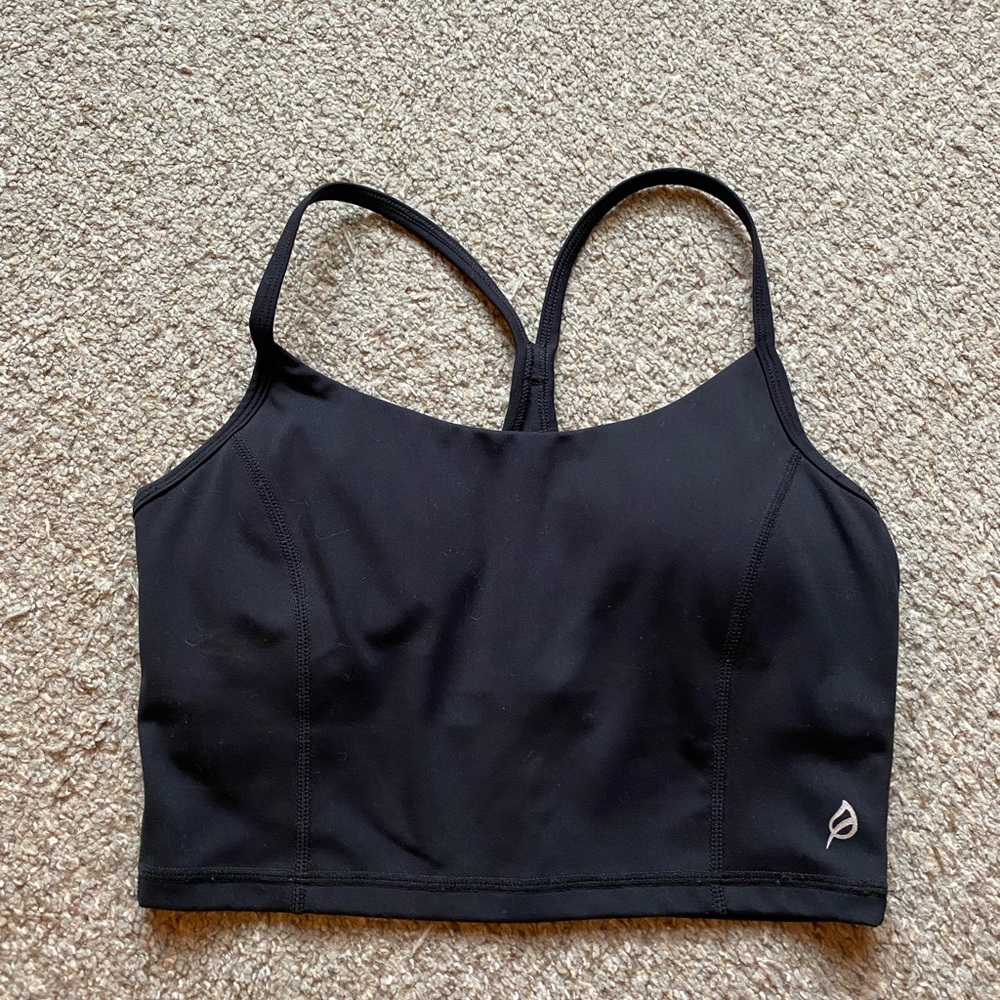 P’tula Crop Work Out Top